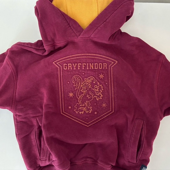 Gryffindor Hoodie. Harry Potter Sweatshirts - Picture 1 of 6